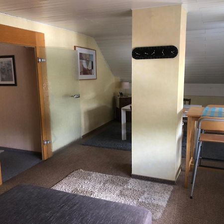 Ironico Homestay 4 Schlafzimmer Ferienwohnung 100 M2 Nahe Bostalsee Eisen  Екстер'єр фото