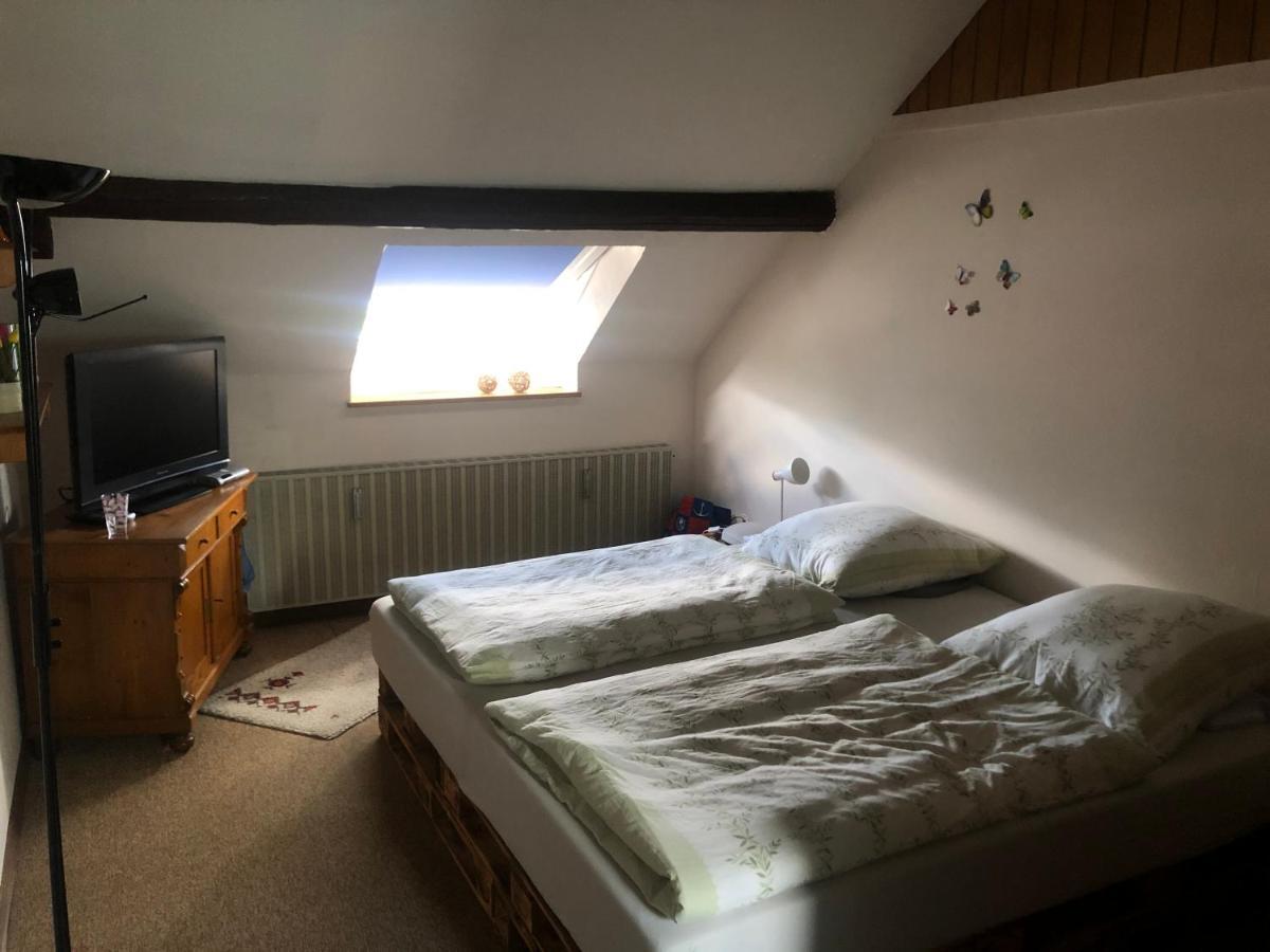 Ironico Homestay 4 Schlafzimmer Ferienwohnung 100 M2 Nahe Bostalsee Eisen  Екстер'єр фото