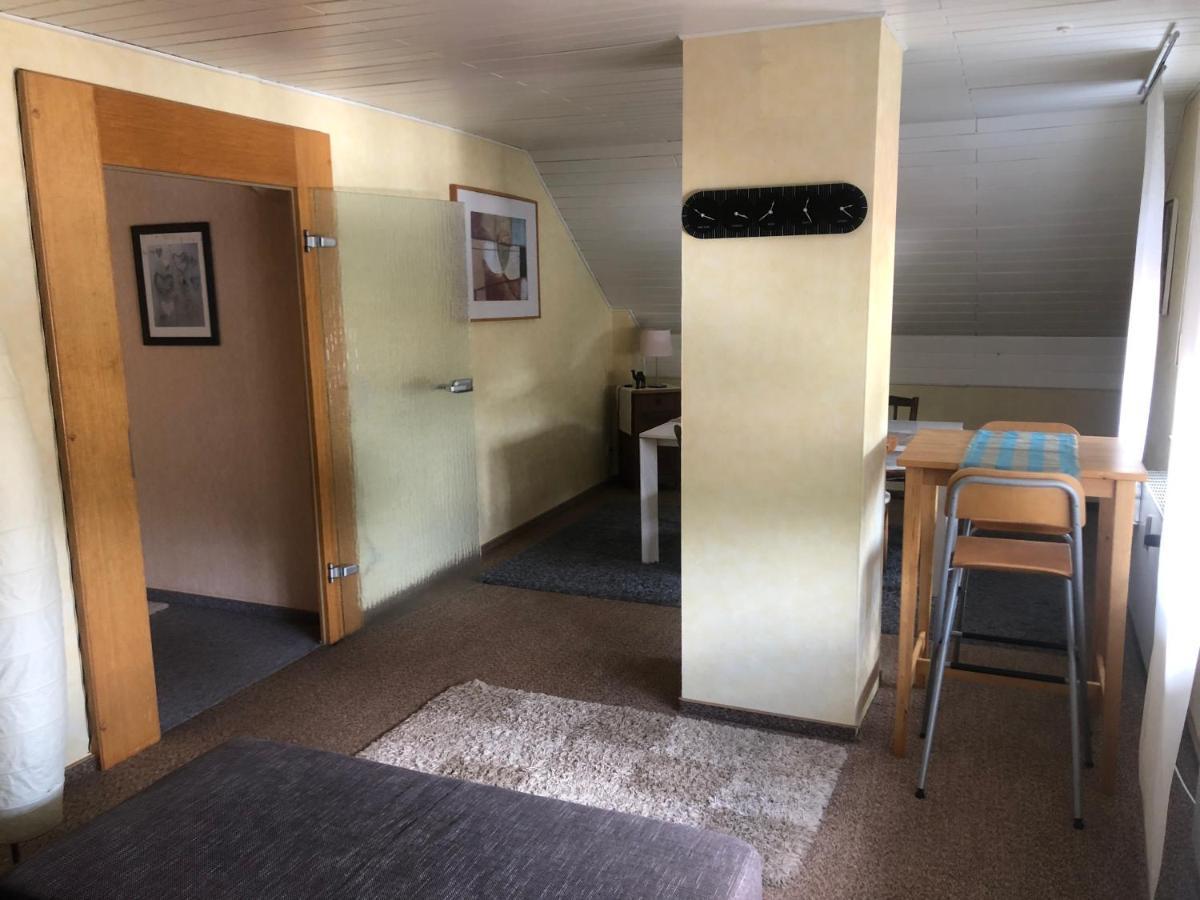 Ironico Homestay 4 Schlafzimmer Ferienwohnung 100 M2 Nahe Bostalsee Eisen  Екстер'єр фото