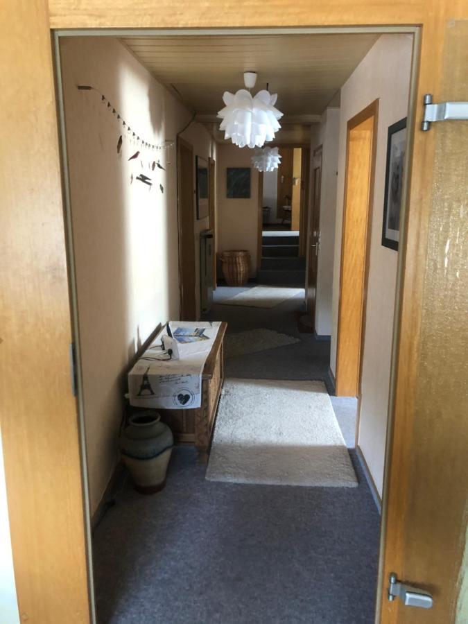 Ironico Homestay 4 Schlafzimmer Ferienwohnung 100 M2 Nahe Bostalsee Eisen  Екстер'єр фото